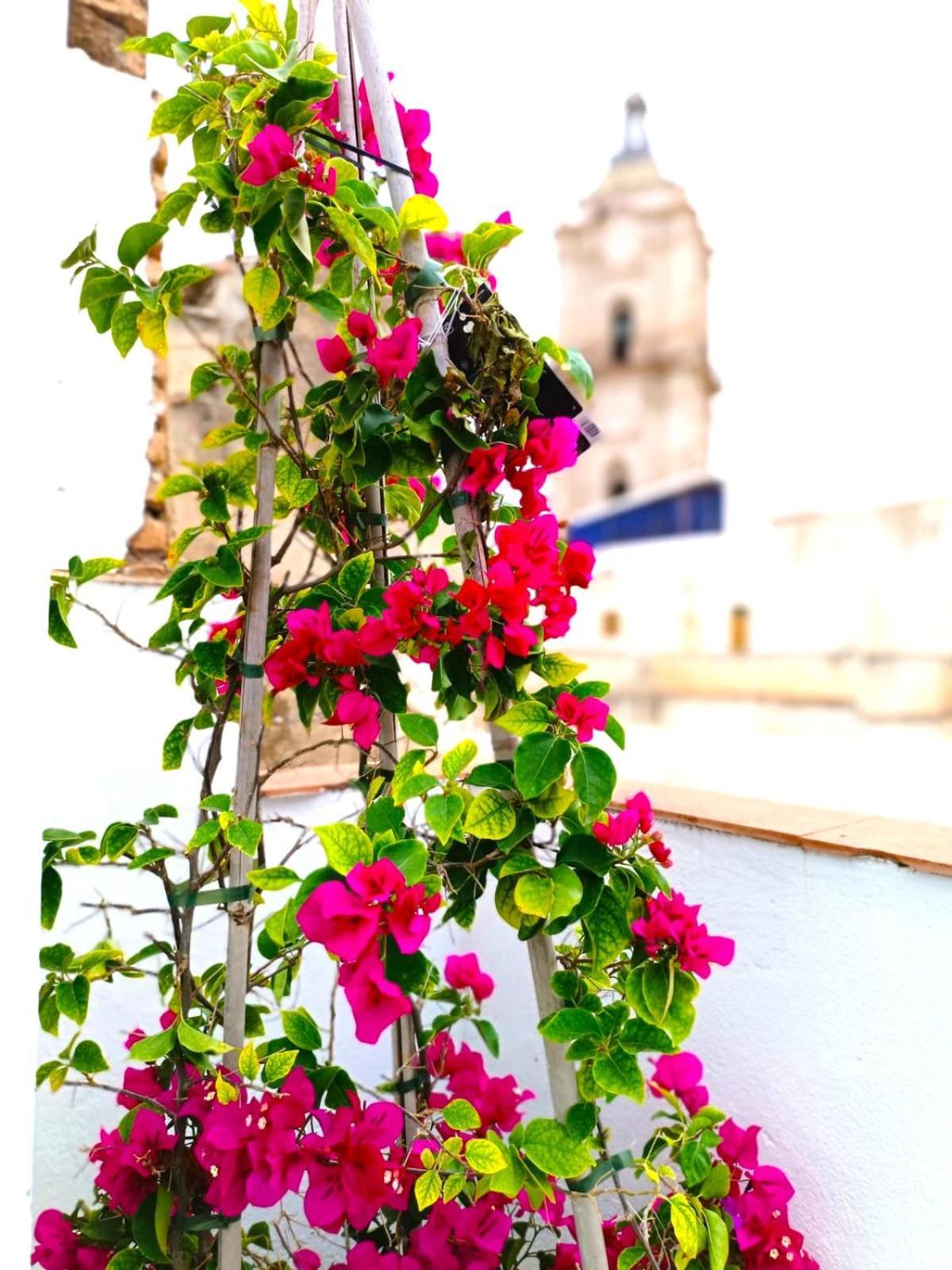 Apartamentos Calle Nueva Malaga Exterior photo